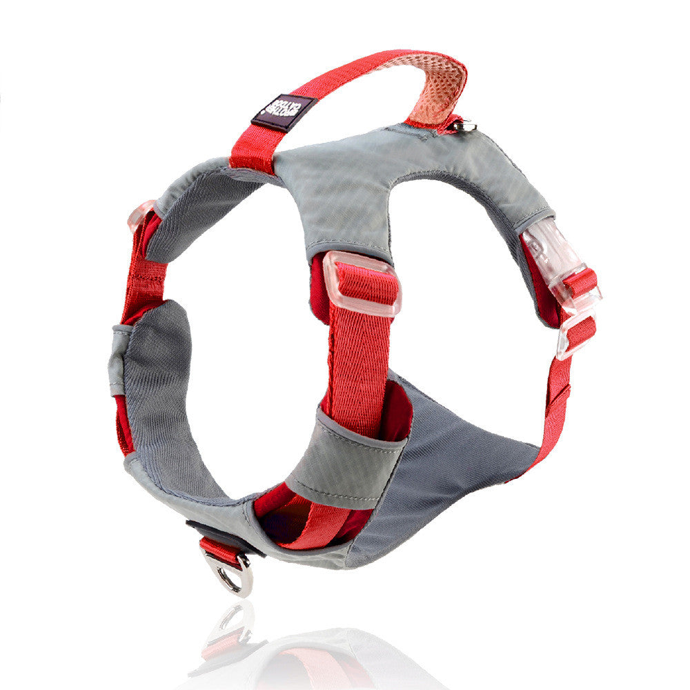 Anti Pull Pet Chest Harness With Storage Bag Leash