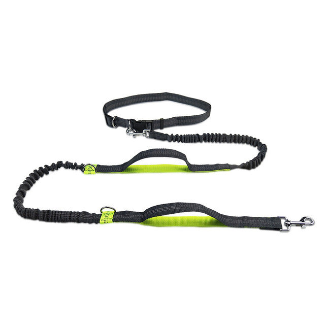 Adjustable Pet Harness And Collar Jogging Leash Set