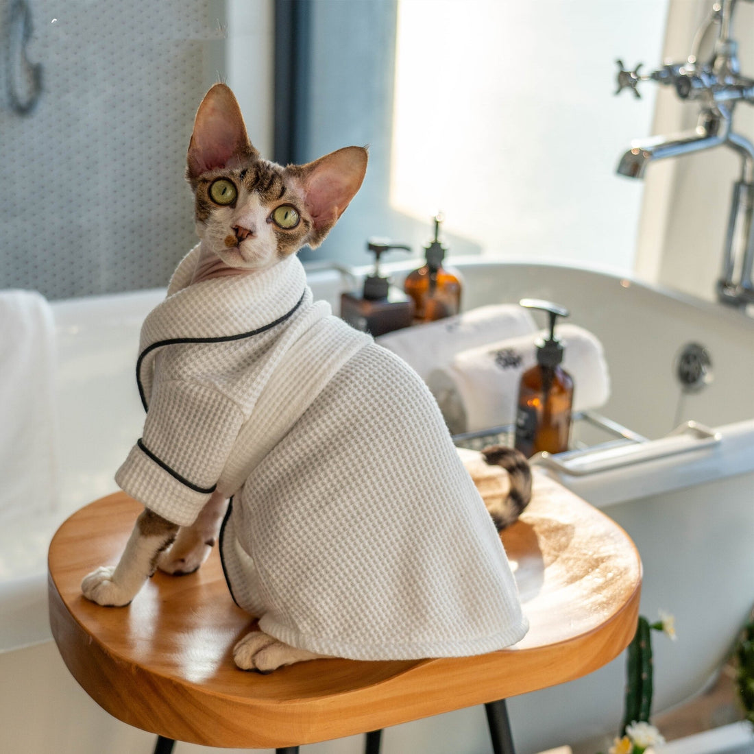 Pet Bathrobe Soft Highly Absorbent Drying Towel