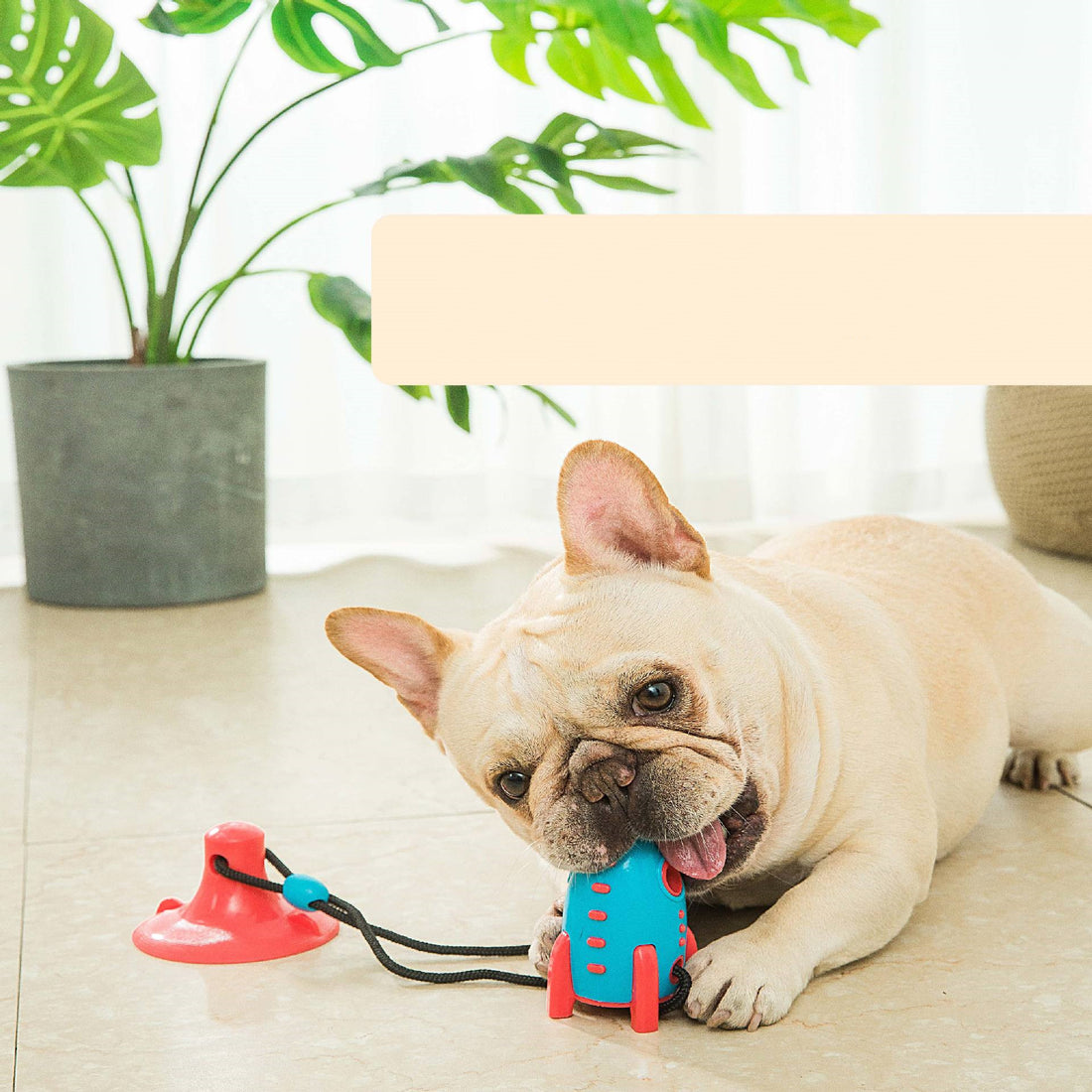 Rocket Shaped Pet Chew Toy Treat Dispensing Bite Resistant