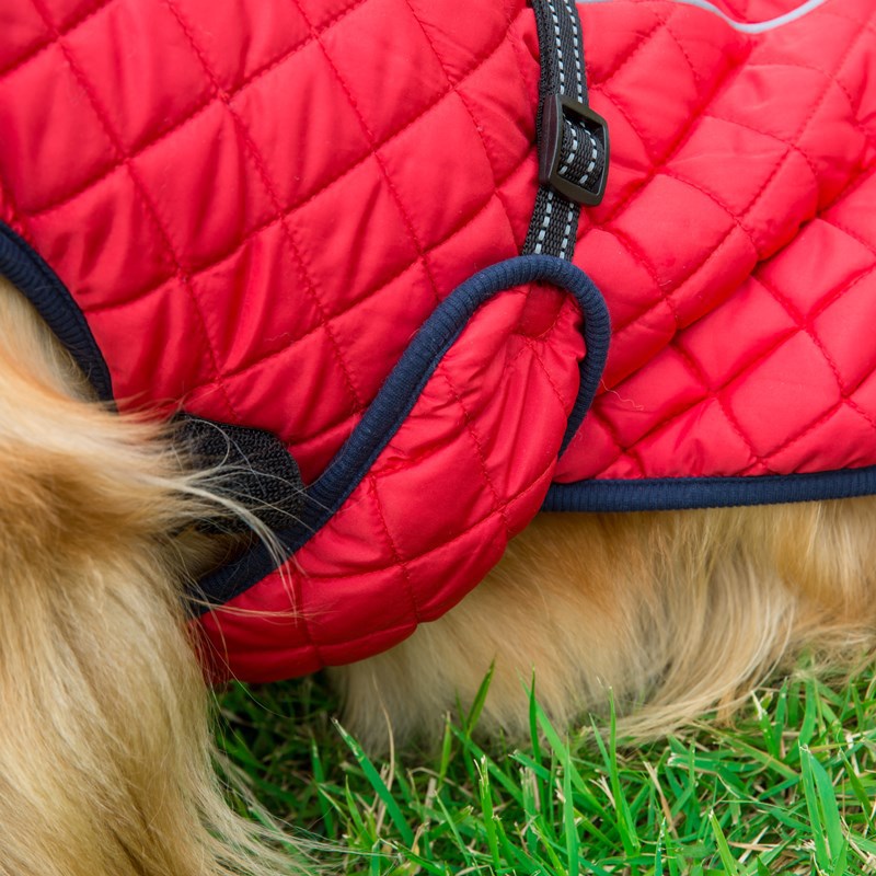 Adjustable Warm Pet Cotton Jacket Apparel