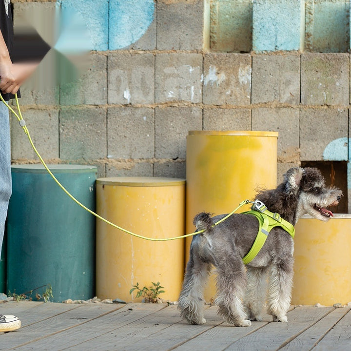 Colorful Adjustable Sliding Pet Leash For Walking