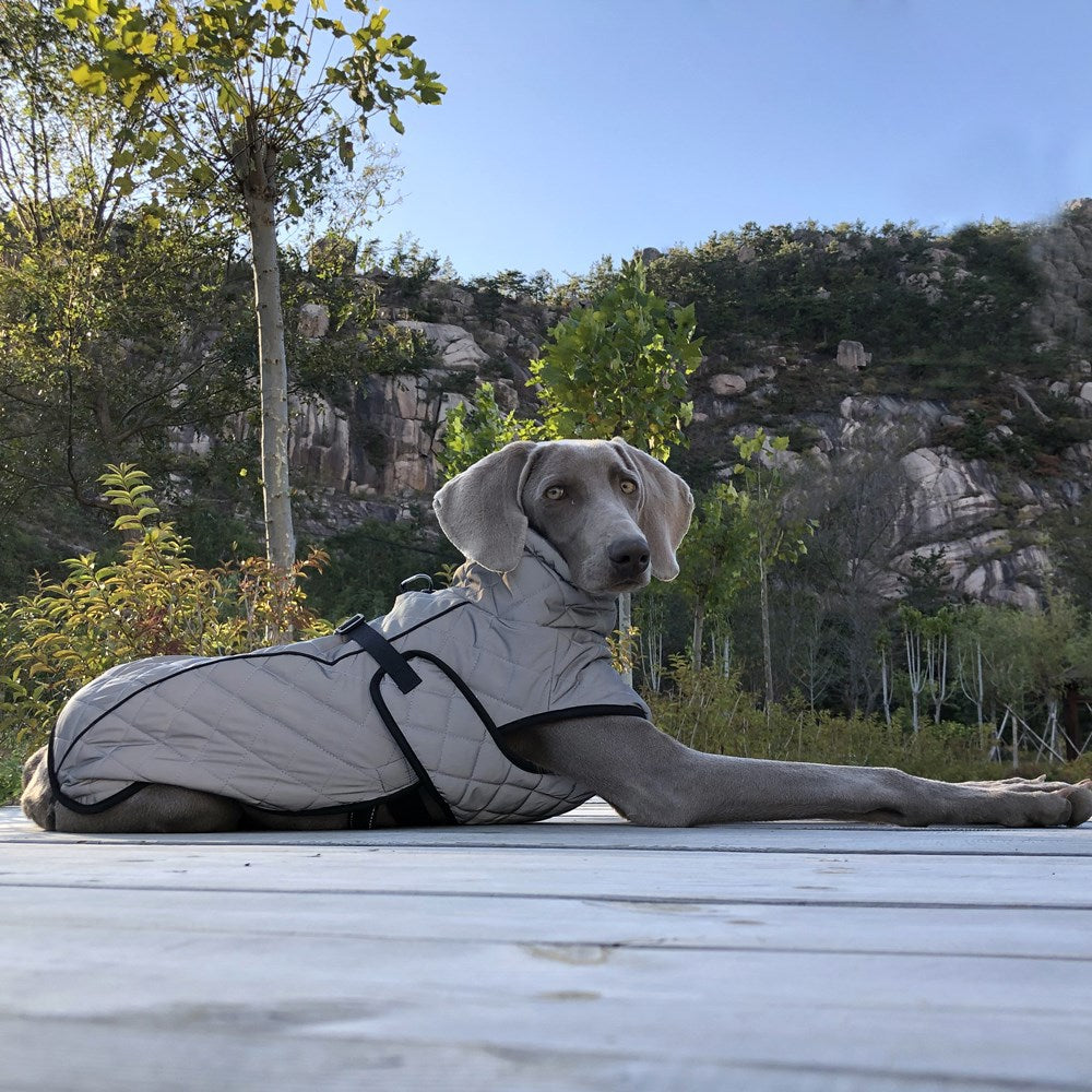 Full Body Reflective Tactical Pet Jacket For Outdoor Safety