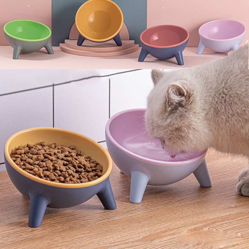 Nordic Pet Feeding Bowl With Stand Food Water Set
