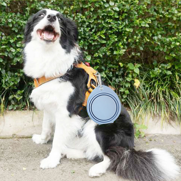 Foldable Silicone Pet Portable Feeding Bowl Outdoor Use
