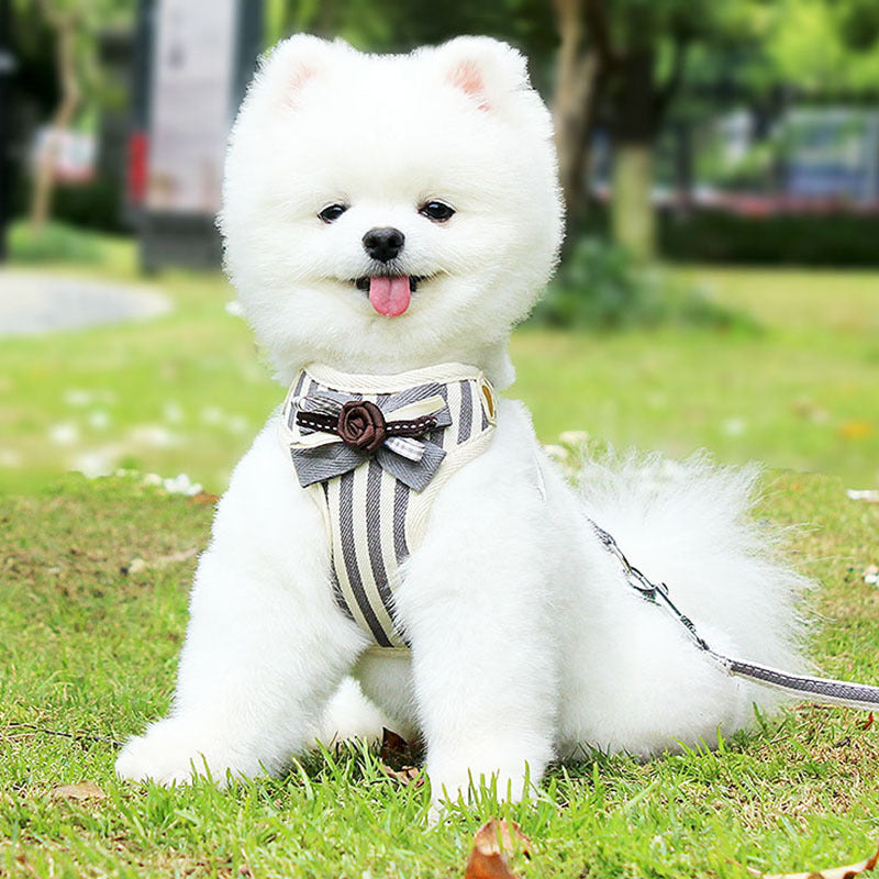 New Vest Type Pet Chest Strap With Leash