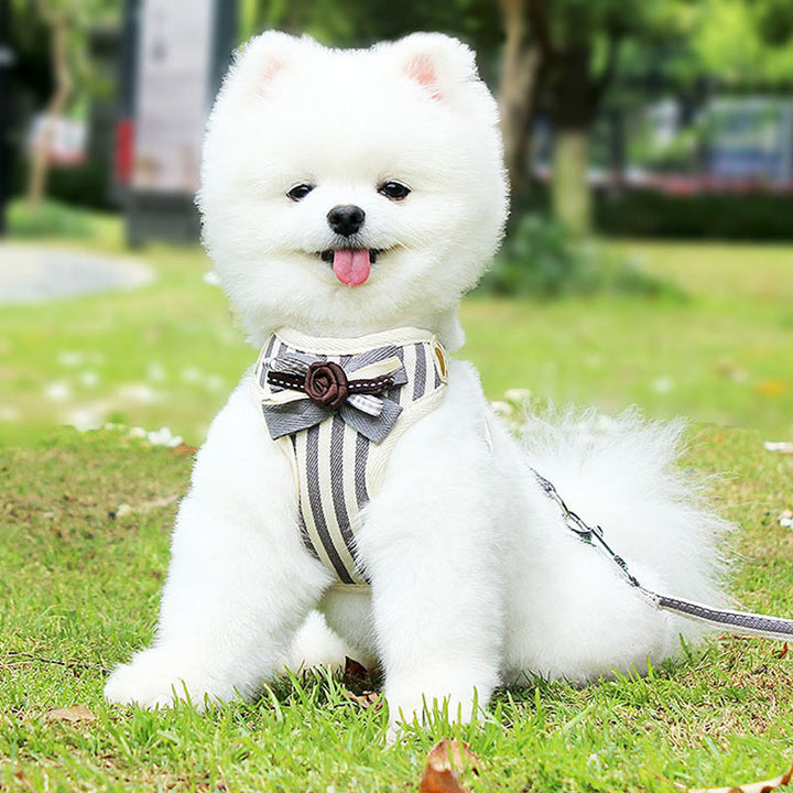 New Vest Type Pet Chest Strap With Leash