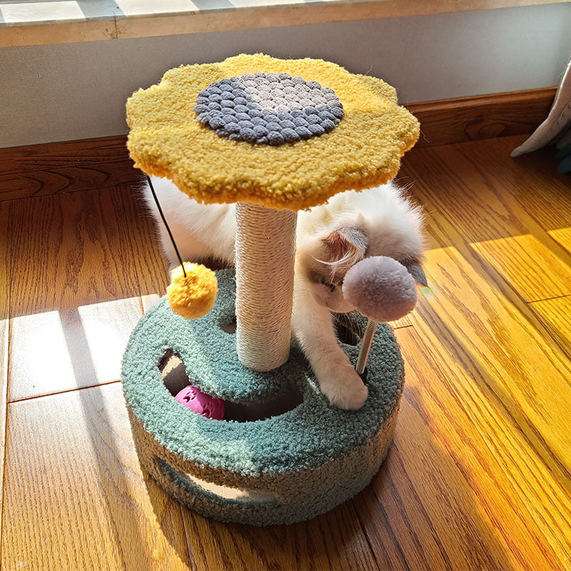 Pet Scratch Board For Claw Grinding Play Toy