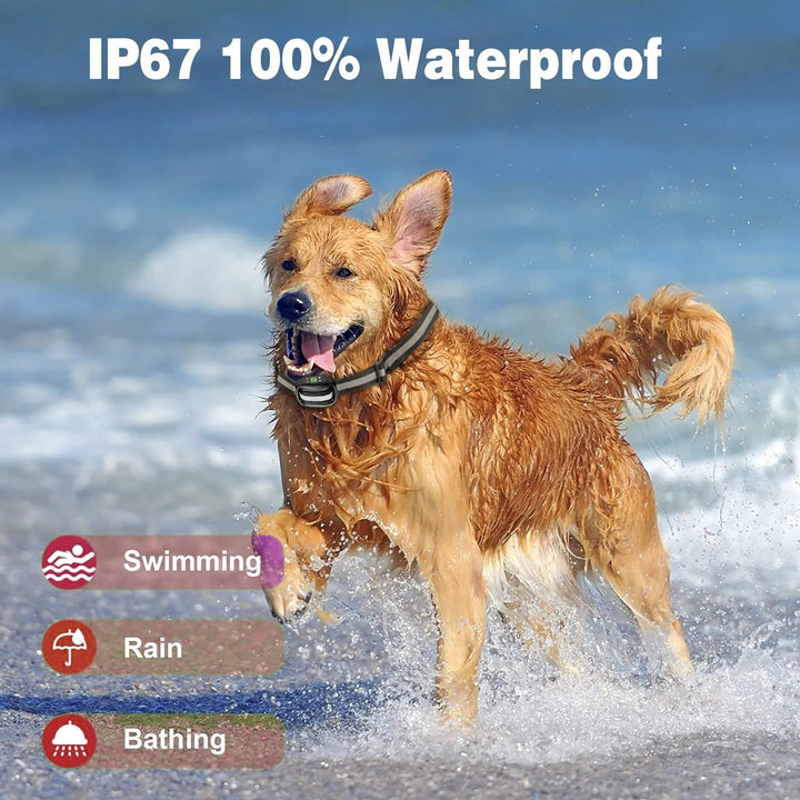 Smart GPS Rechargeable Waterproof Training Collar
