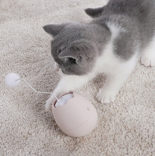 Interactive Funny Pet Play Toy Artifact