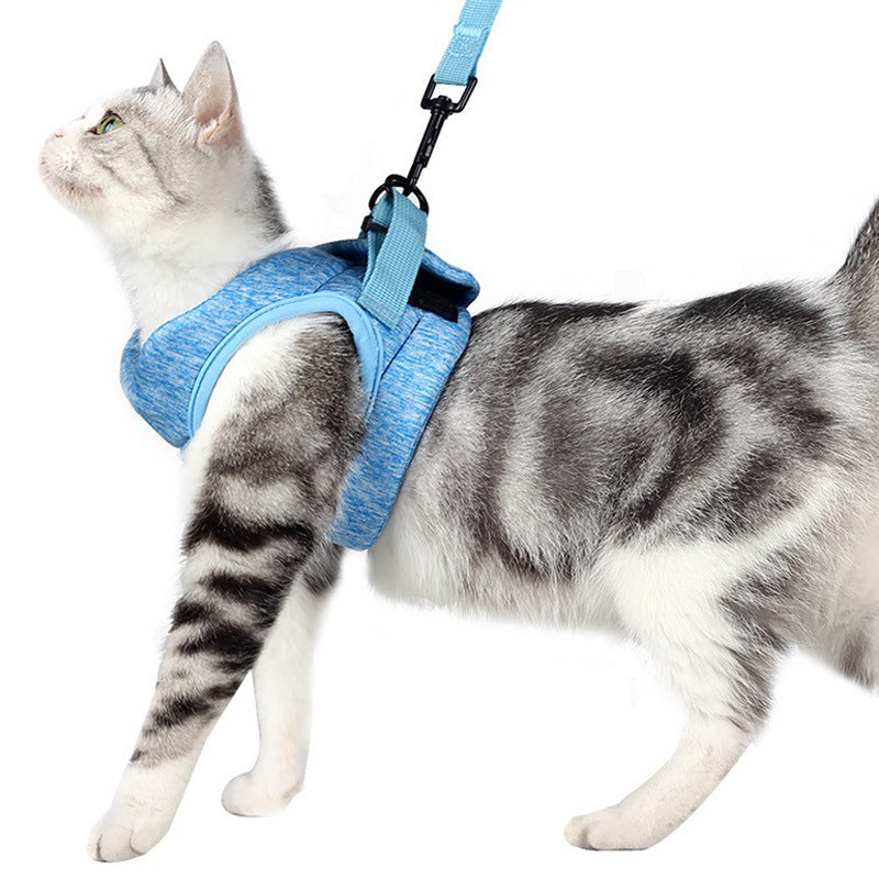 Breathable Lace Style Pet Chest Strap Lightweight Leash