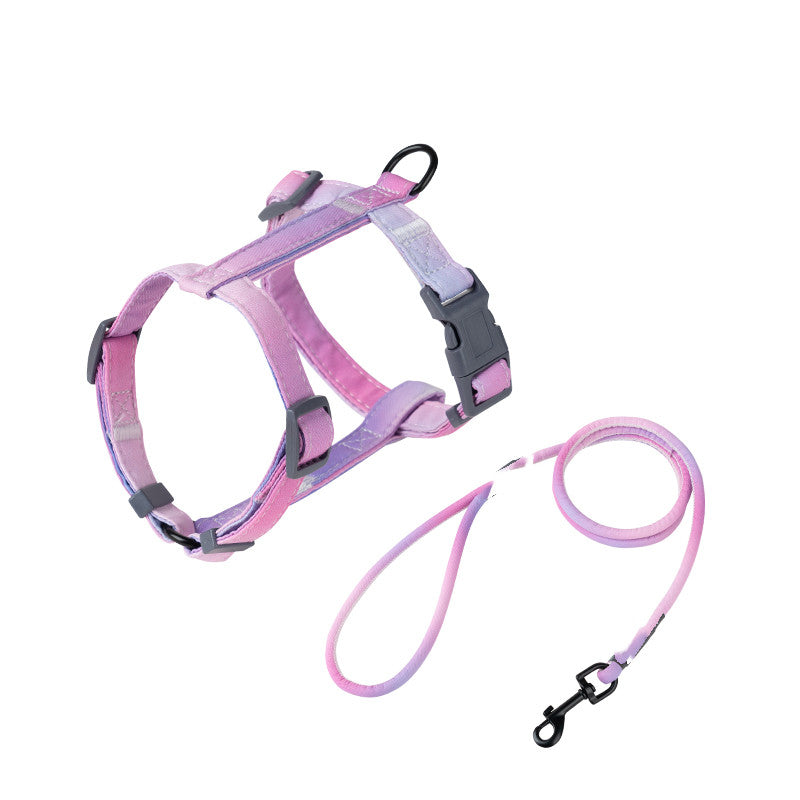 Fashion Anti Escape Pet Harness And Leash Set