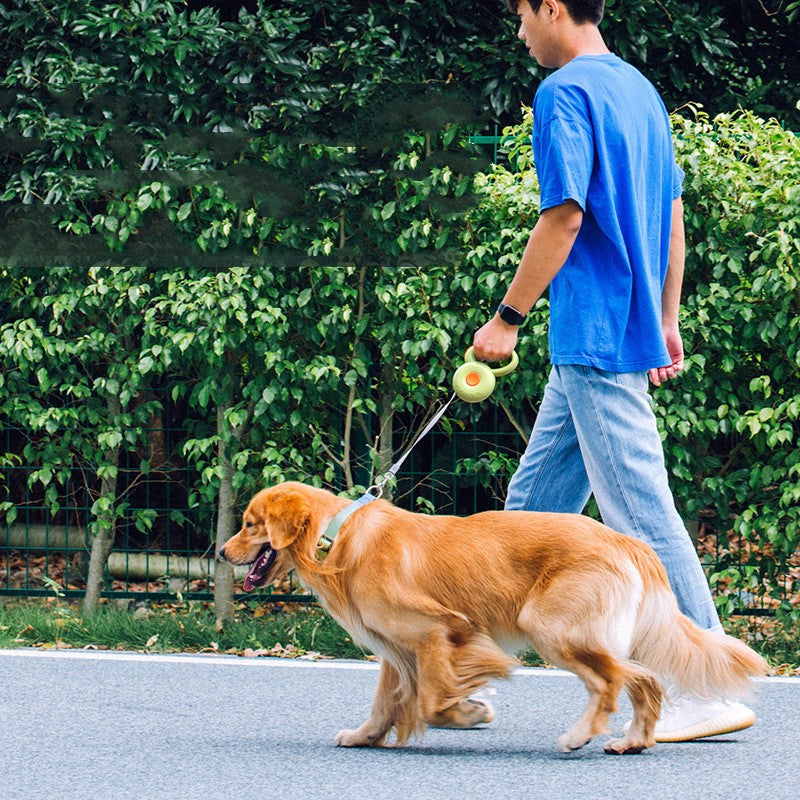 Reflective Retractable Pet Rope Leash For Walking