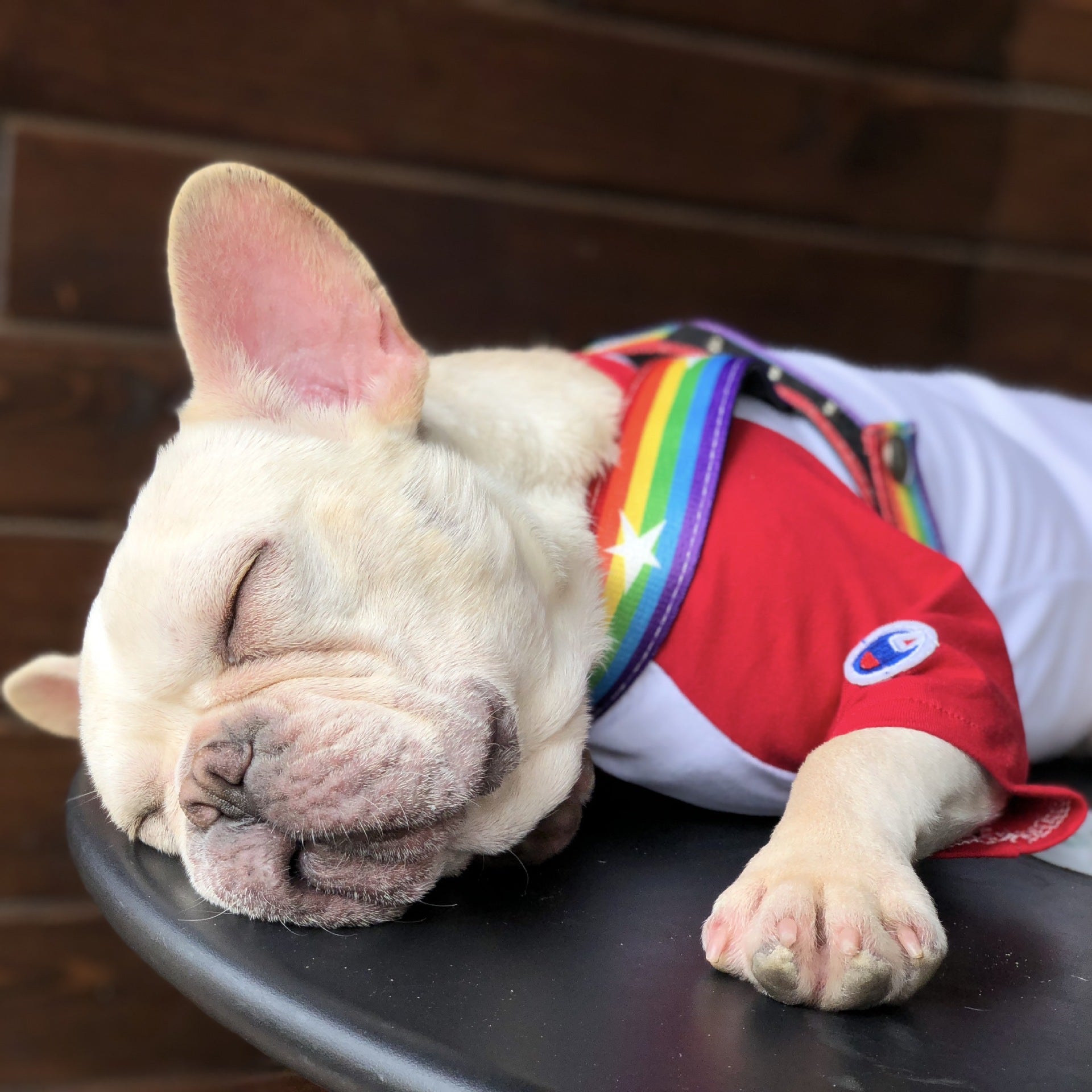 Rainbow Style Pet Chain Leash For Walking Control