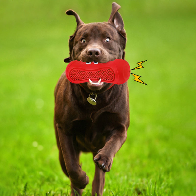 Natural Rubber Rugby Pet Chew Toy For Teething And Biting