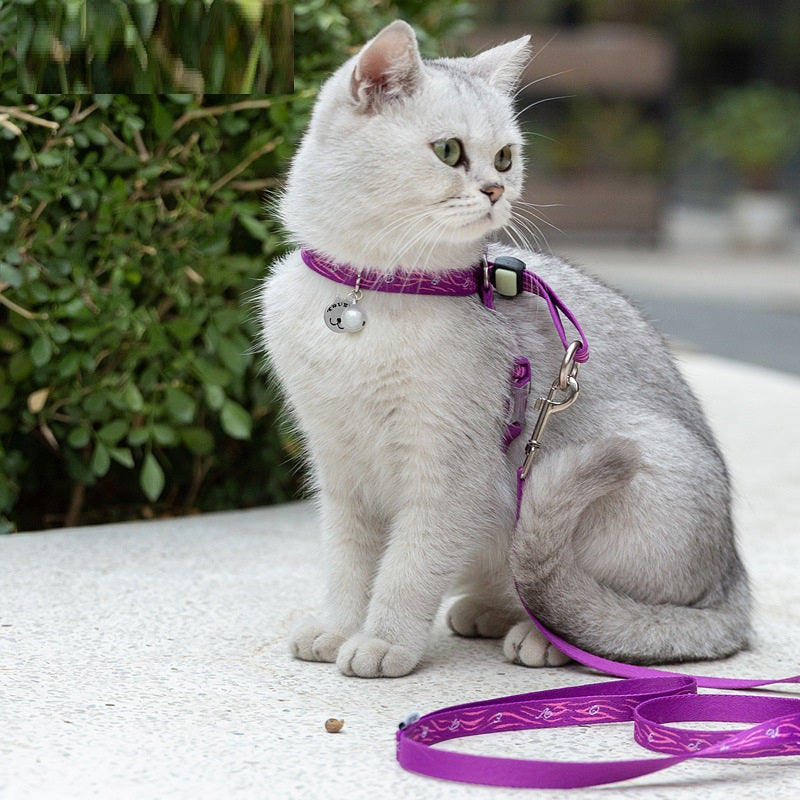 Bell Style Pet Chest Strap Vest With Leash For Small Pets