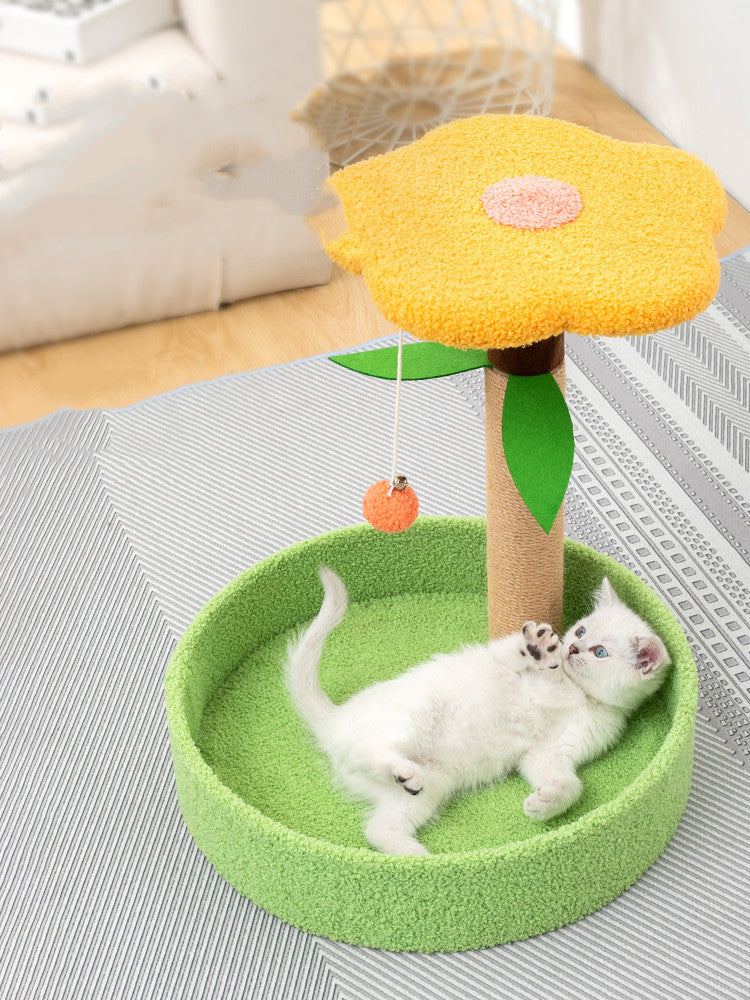 Pet Claw Grinding Interactive Teasing Toy