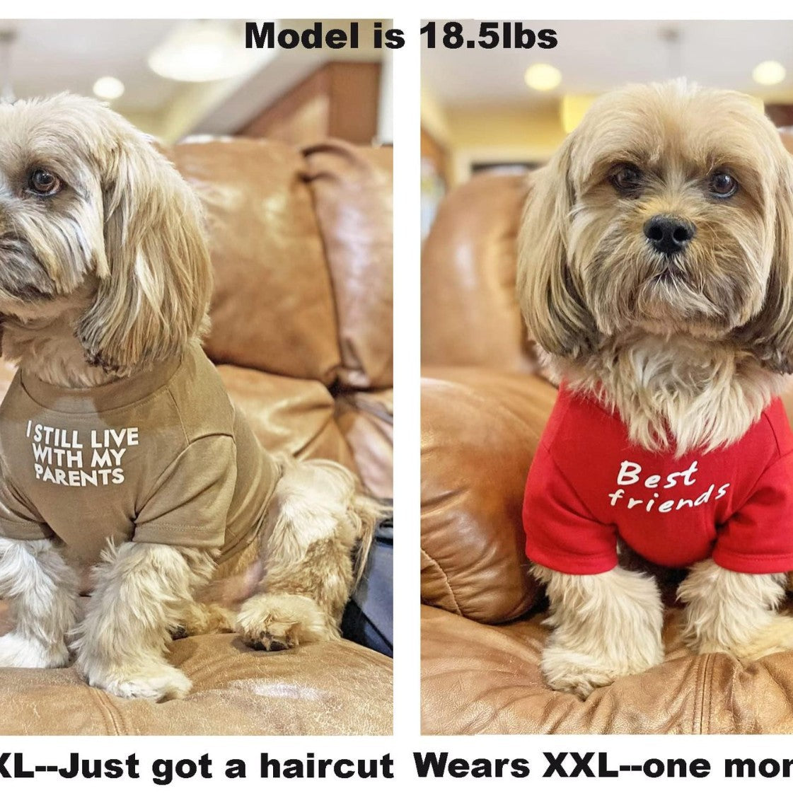Round Neck Pet T Shirt Lightweight Comfortable Clothing