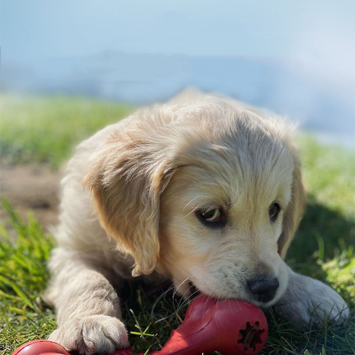 Durable Rubber Pet Chew Toy For Teeth Grinding
