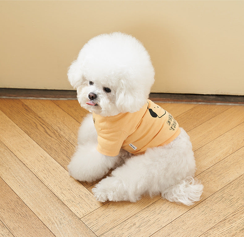 Korean Style Pet Cotton T Shirt Color Print Apparel