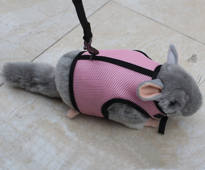 Lightweight Small Pet Leash Adjustable Walking Lead
