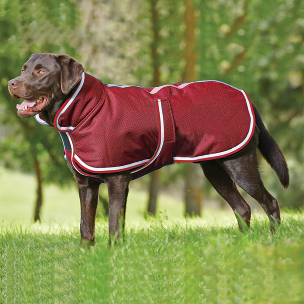 Pet Winter Warm Waterproof Leisure Jacket Apparel