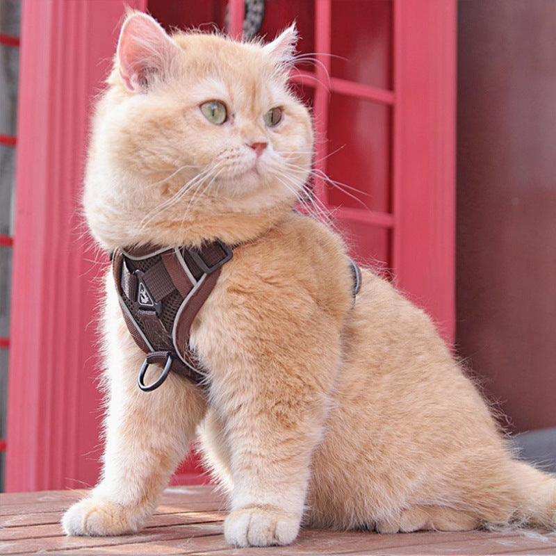 New Pet Harness Vest Chest Strap With Leash Set