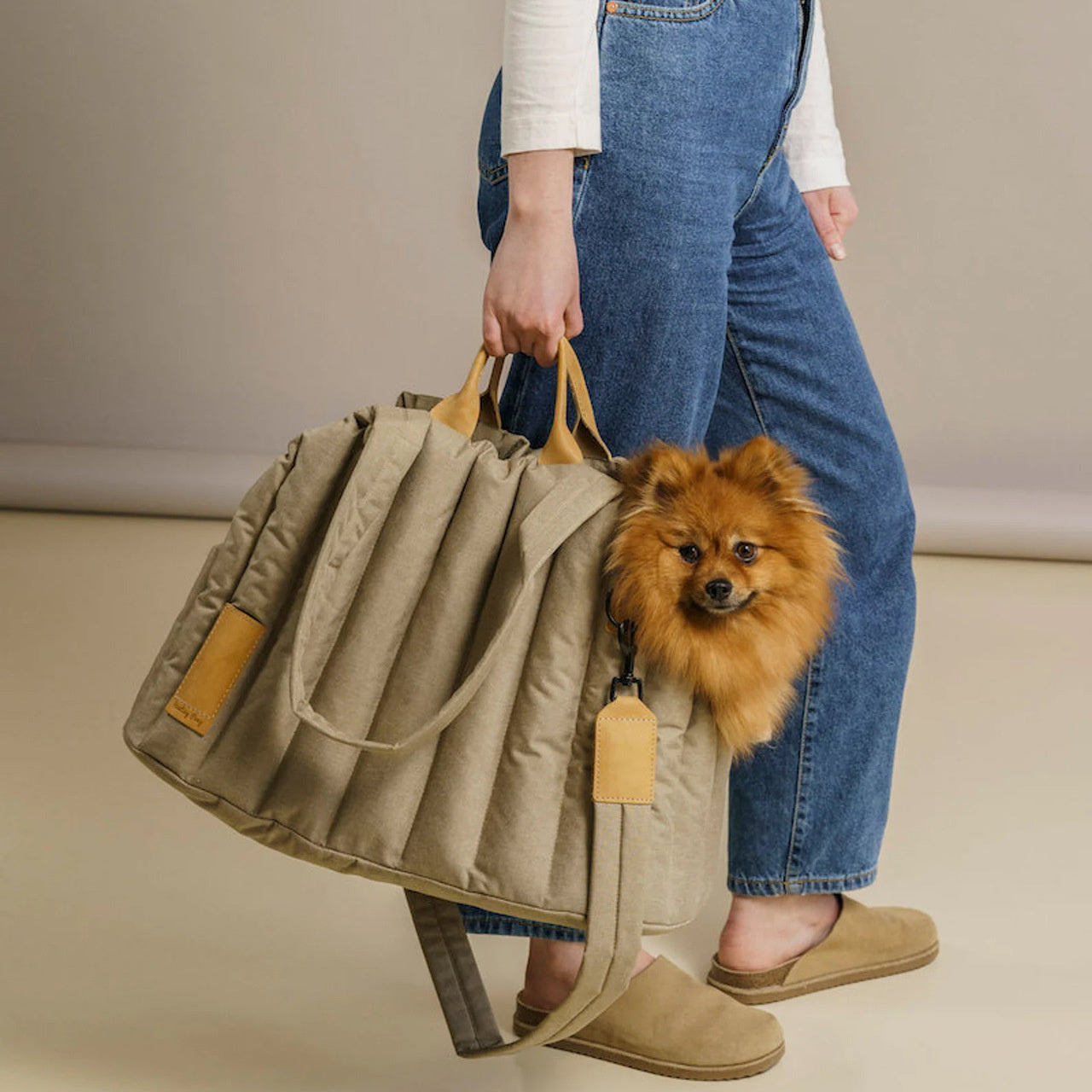 Lightweight Waterproof Pet Carrier Handbag For Travel