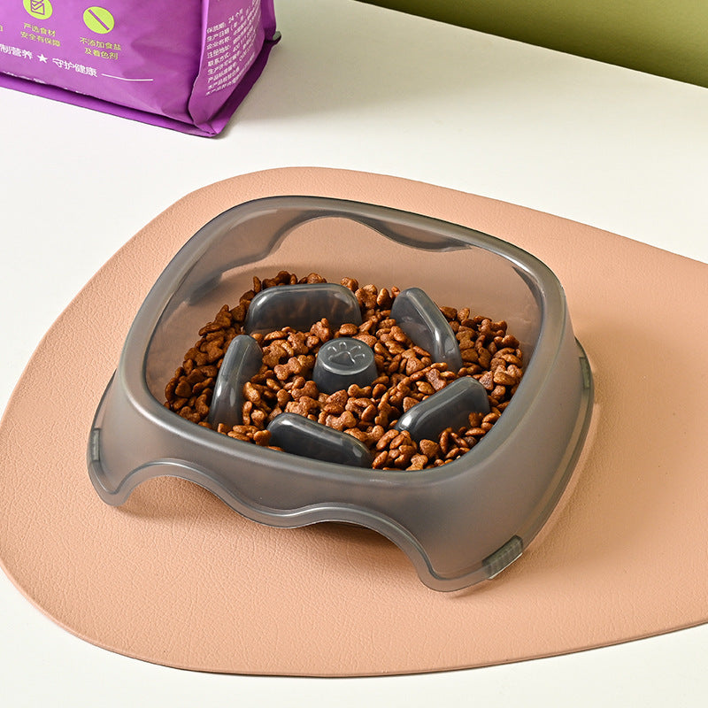 Pet Slow Feeding Anti Choke Bowl Water Feeder Dish