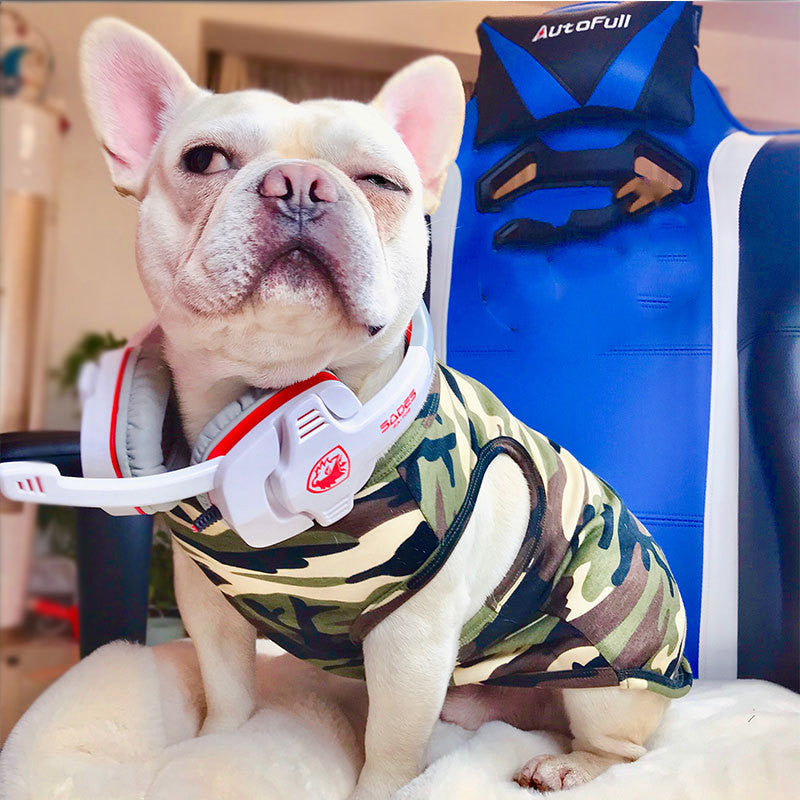 Pet Summer Fashion T Shirt Lightweight Apparel
