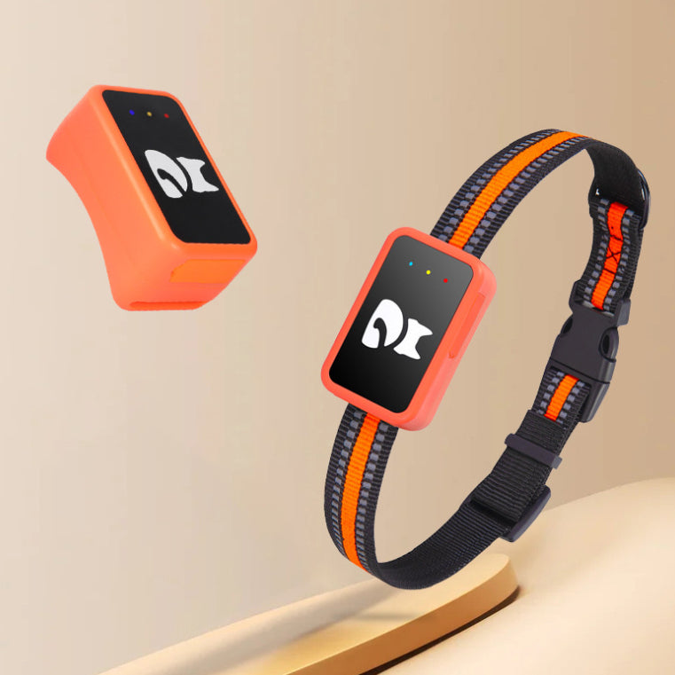 GPS Anti-Lost Pet Tracker Collar