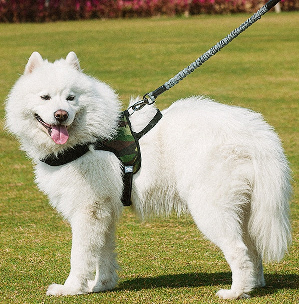 Pet Chest Harness With Leash For Walking Control