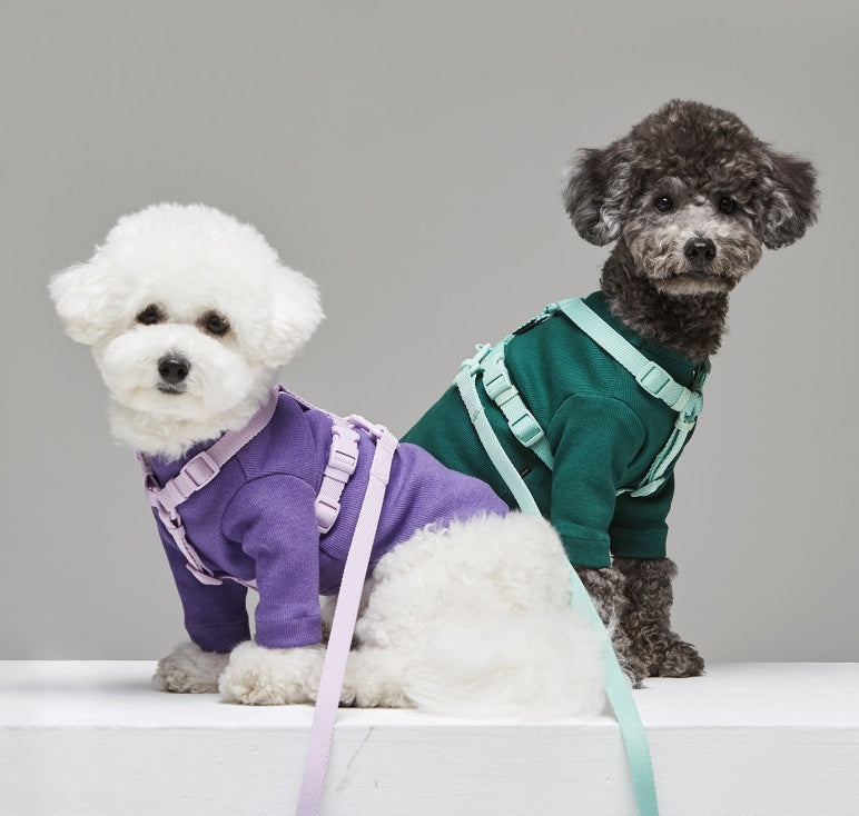 Colorful Macaron Style Ins Wind Adjustable Pet Leash