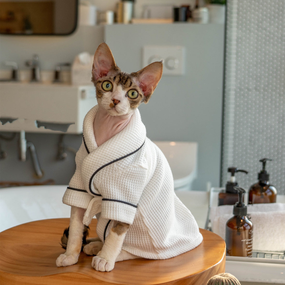 Pet Bathrobe Soft Highly Absorbent Drying Towel