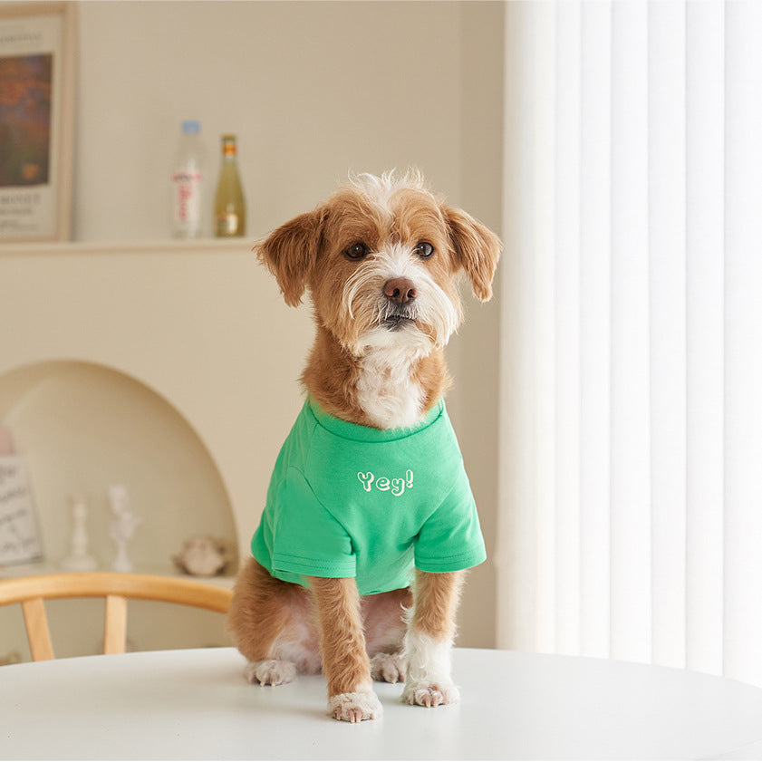 Korean Style Pet Cotton T Shirt Color Print Apparel