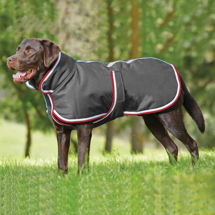 Pet Winter Warm Waterproof Leisure Jacket Apparel