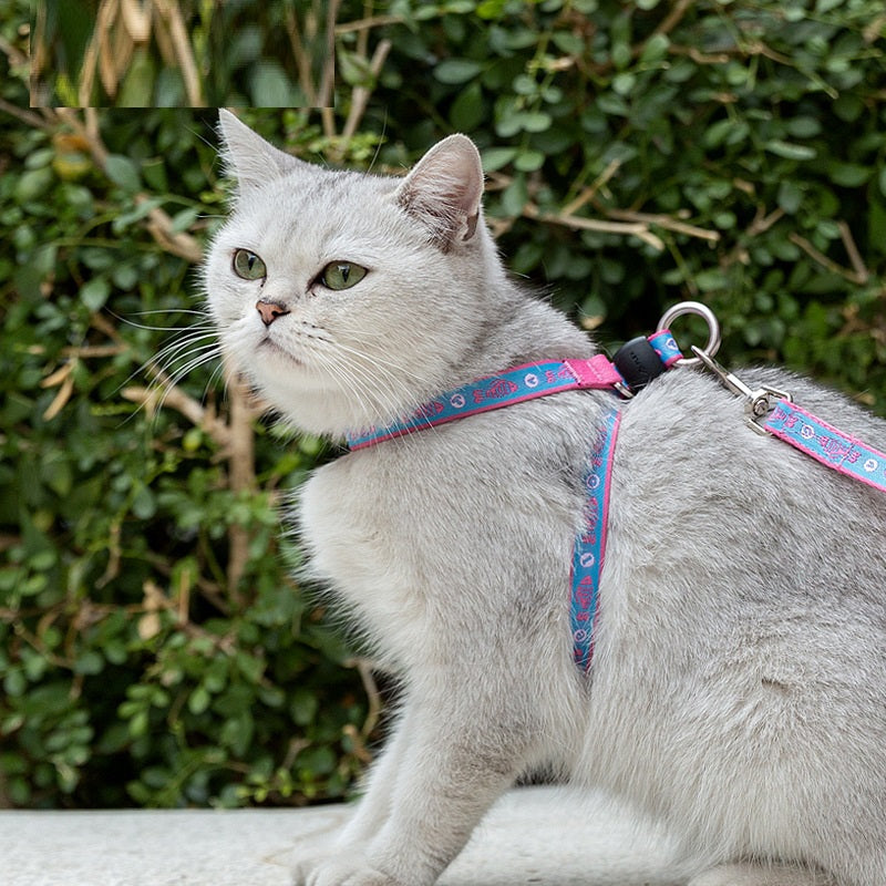 Bell Style Pet Chest Strap Vest With Leash For Small Pets