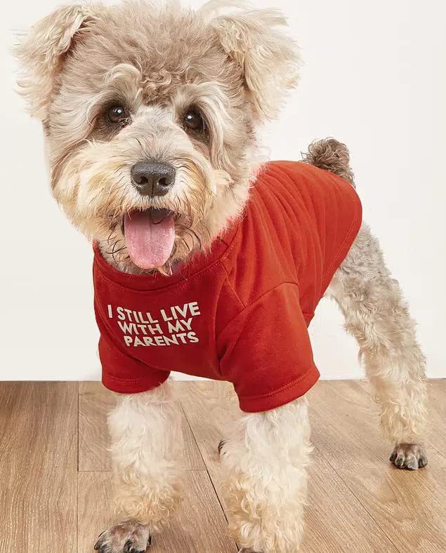 Round Neck Pet T Shirt Lightweight Comfortable Clothing