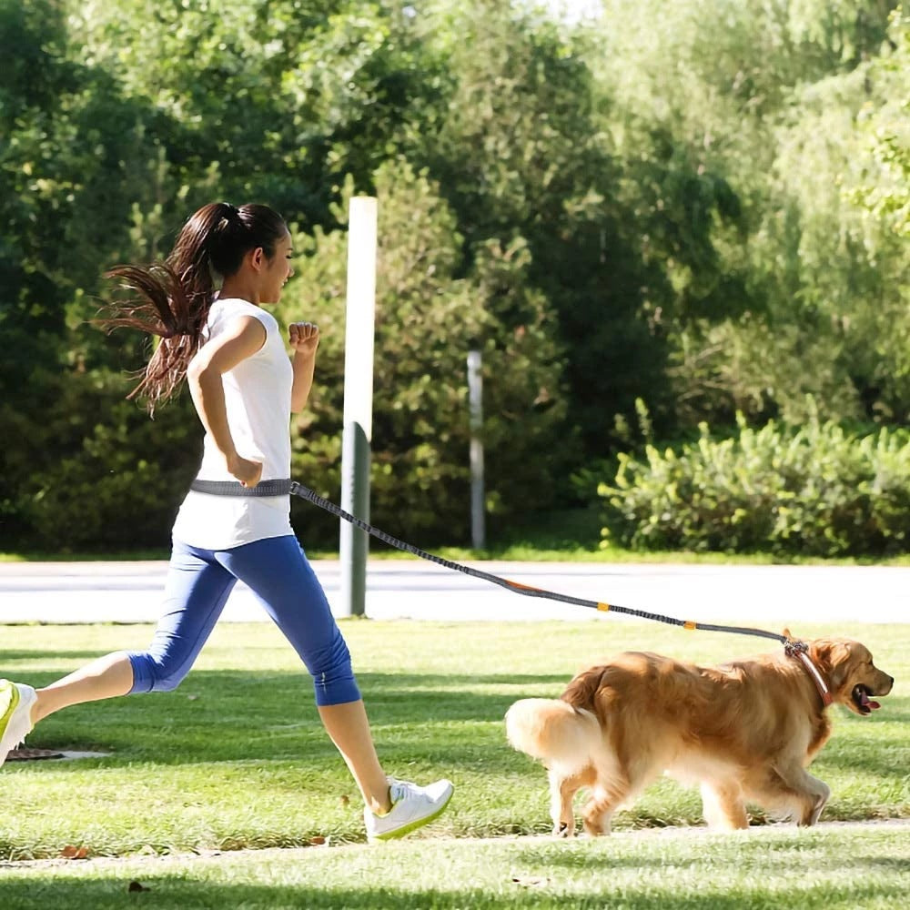 Adjustable Pet Harness And Collar Jogging Leash Set
