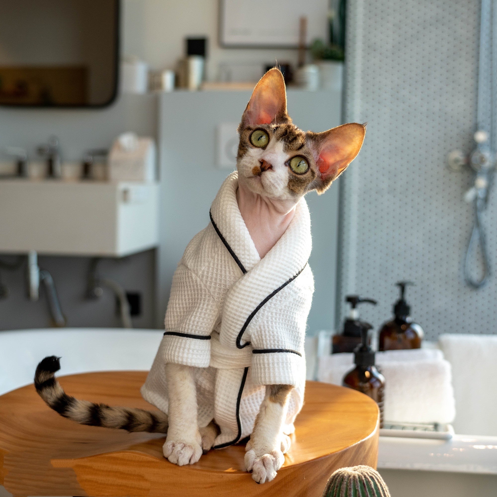 Pet Bathrobe Soft Highly Absorbent Drying Towel