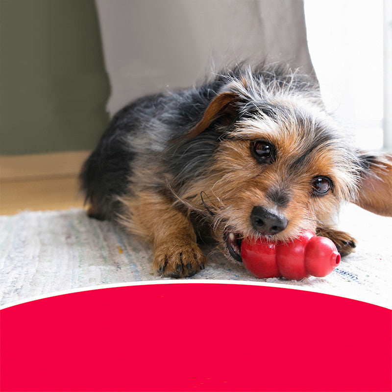 Durable Rubber Pet Chew Toy For Teeth Grinding