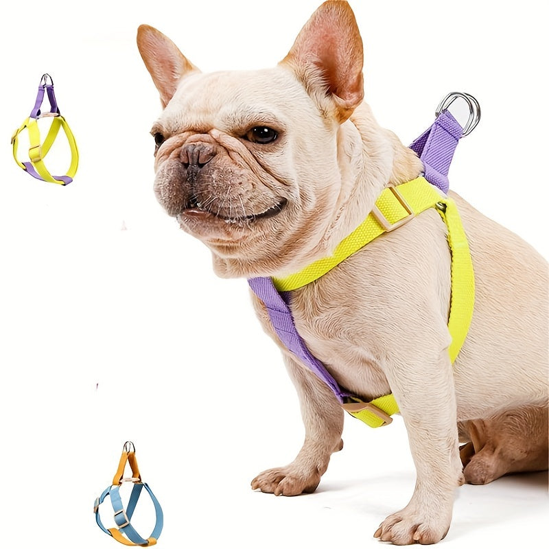 Rainbow Colorblock Anti Escape Pet Harness Set With Leash