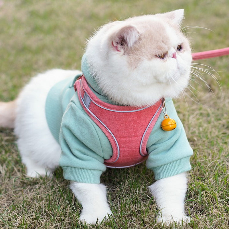 Vest Style Pet Chest Harness And Leash Set