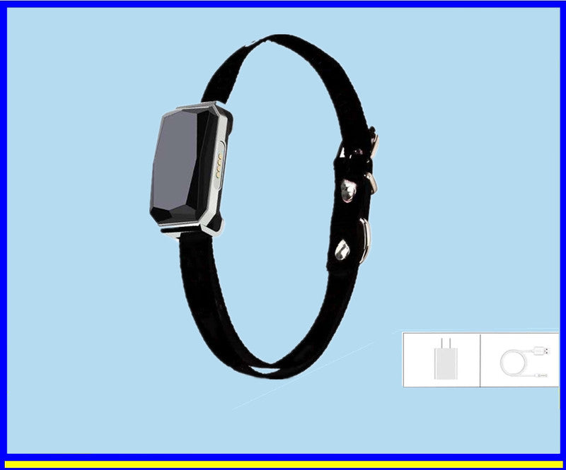 Beidou GPS Anti-Lost Tracking Collar