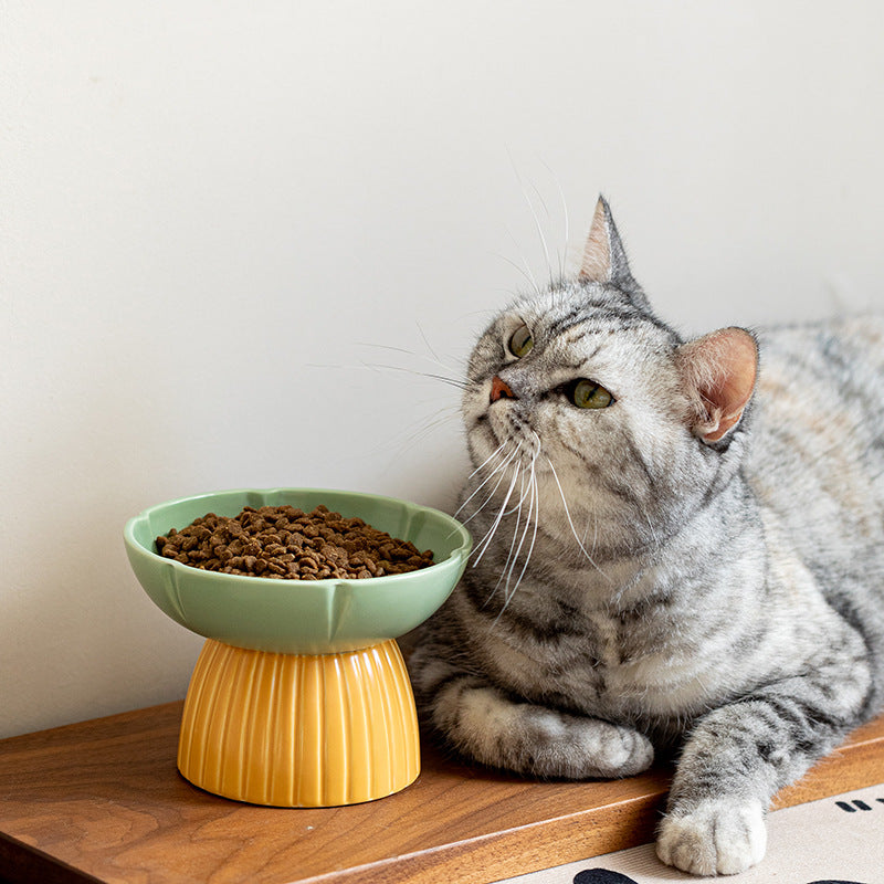 Candy Color Ceramic Pet Feeding Bowl Macaron Style Dish