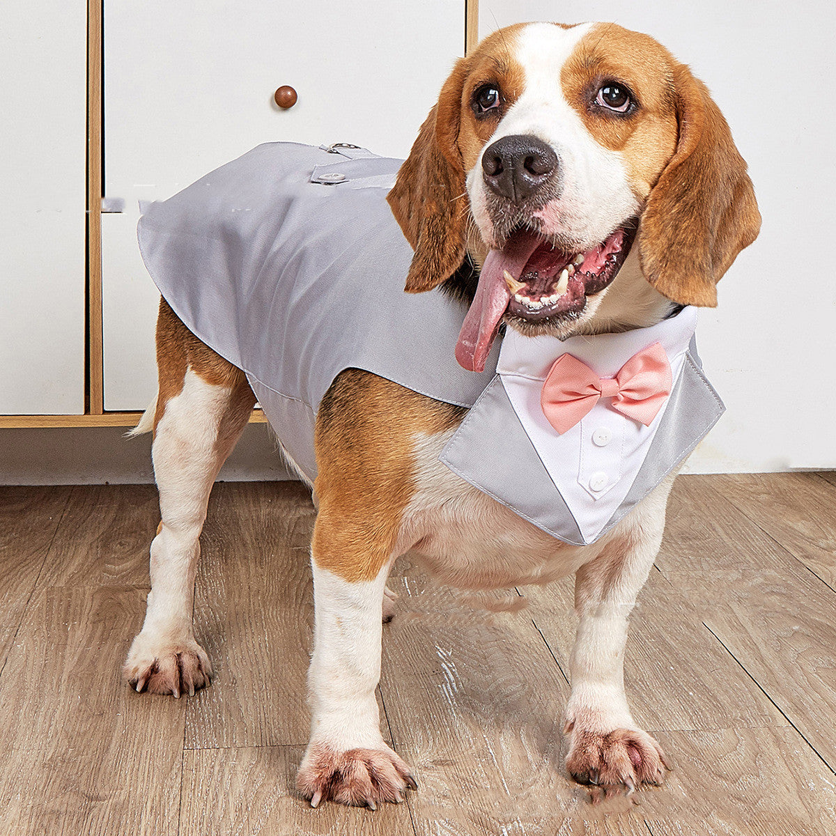 Pet Swallowtail Formal Suit Jacket Wedding Apparel