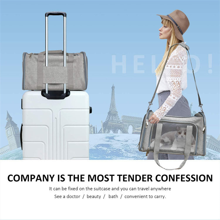 Portable Foldable Hand Held Pet Carrier Bag
