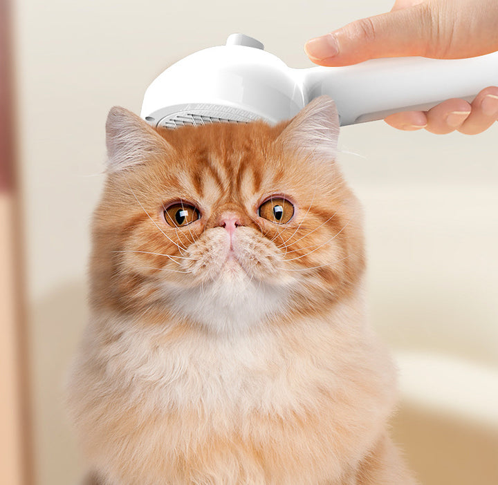 Self Cleaning Pet Grooming Comb With Mist Hair Removal Tool