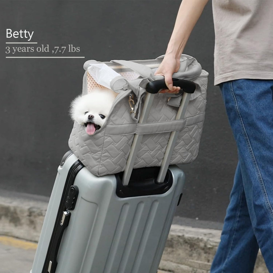 Breathable Mesh Pet Carrier Tote Bag With Soft Cushion