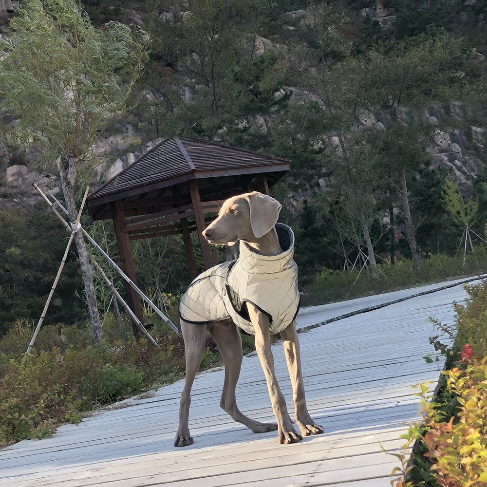 Full Body Reflective Tactical Pet Jacket For Outdoor Safety